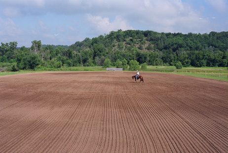 Outdoor arena.jpg (166 kB)