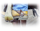 Spur.jpg (21,1 kB)